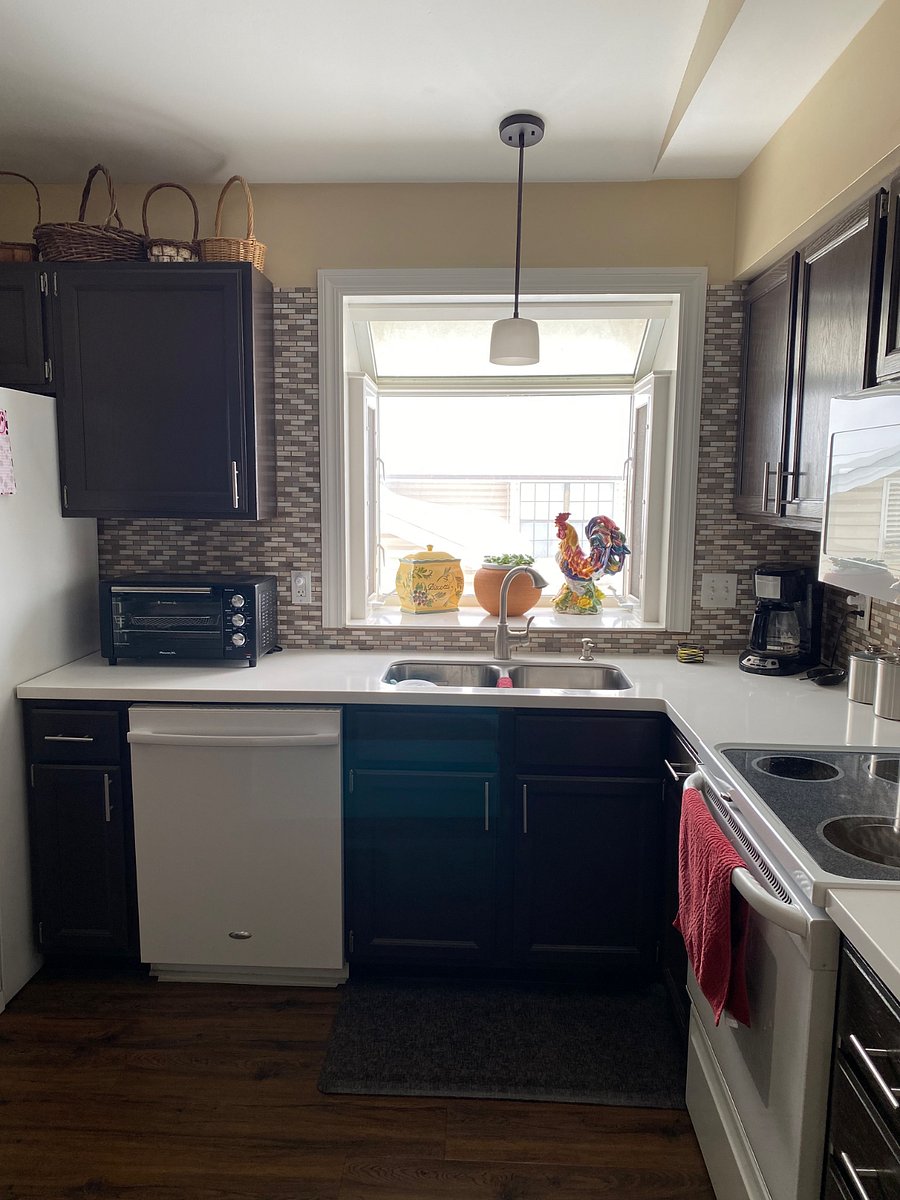 Double sink with sprayer