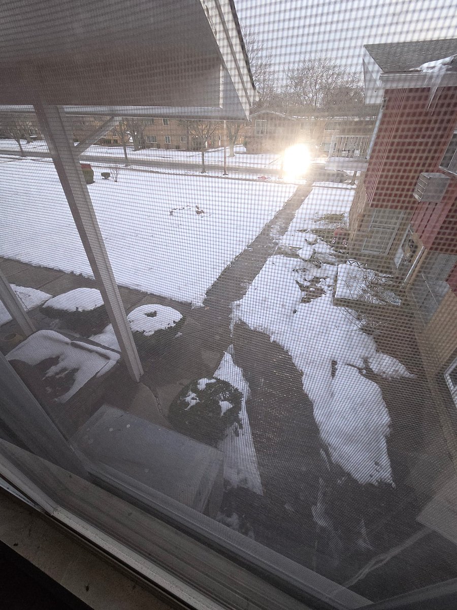 Window view from bedroom 1