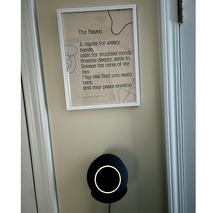 Alexa Echo Dot
