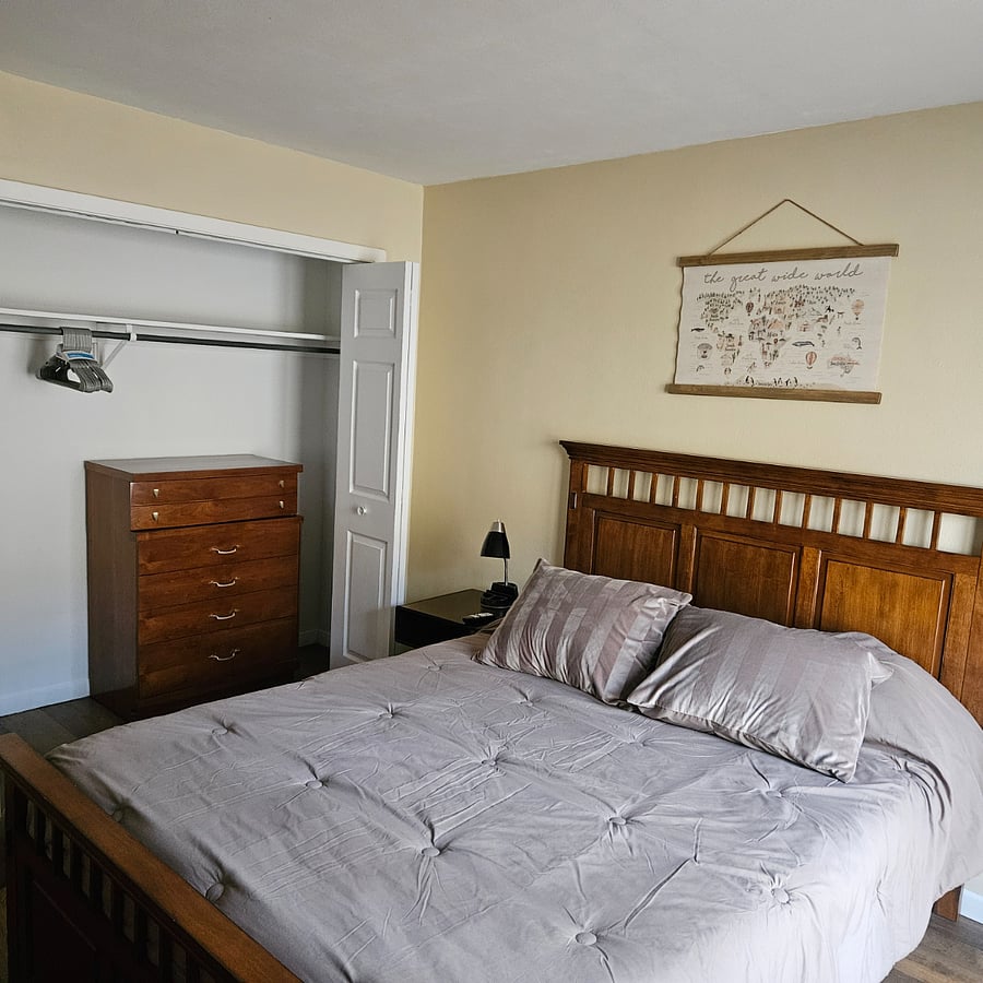 Plenty of closet space and 2 dressers.