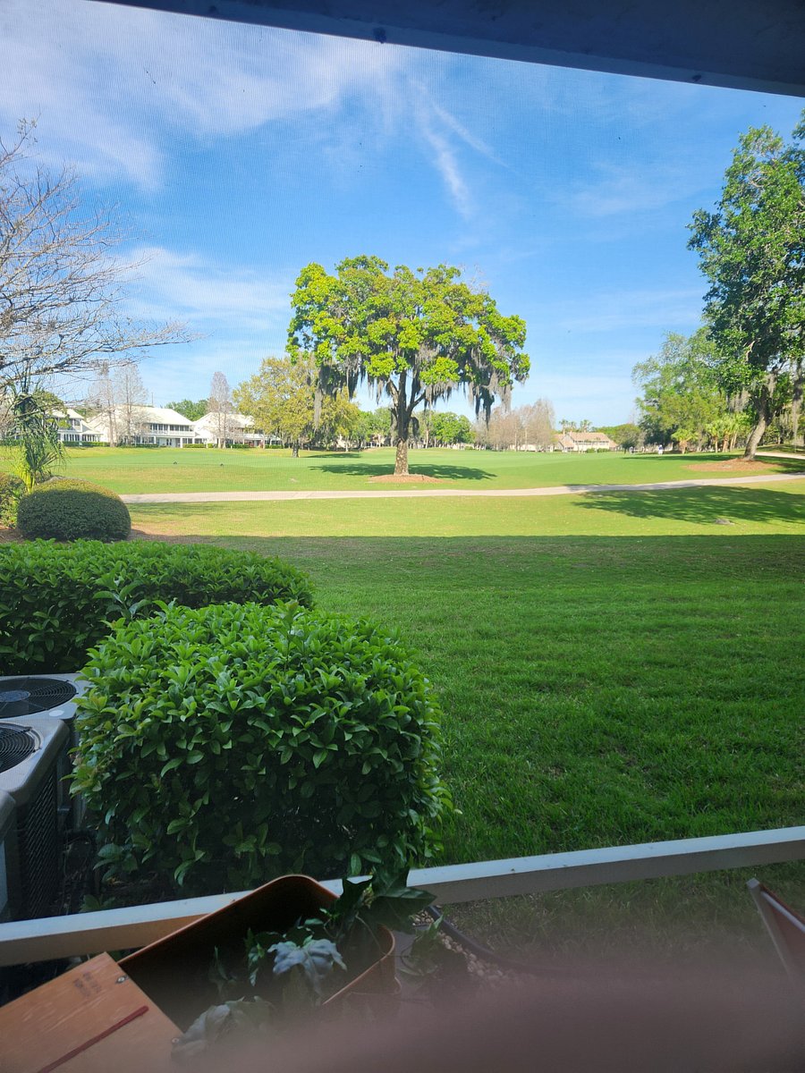 Furnished Finder property 958856_1 photo 13