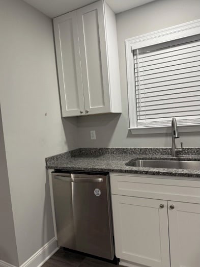 Kitchen Dishwasher & Sink.