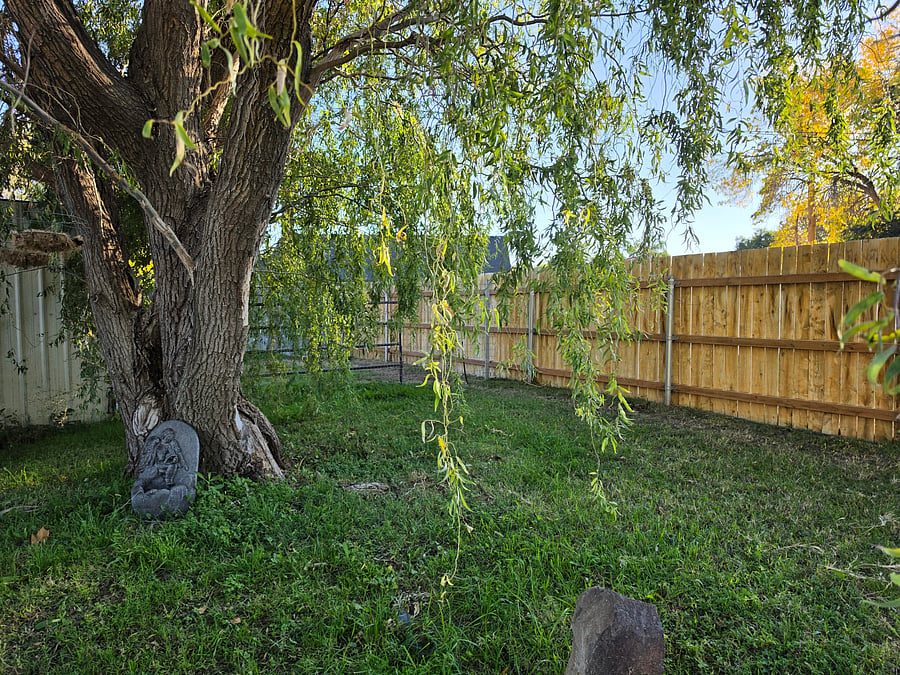 Furnished Finder property 959080_1 photo 24