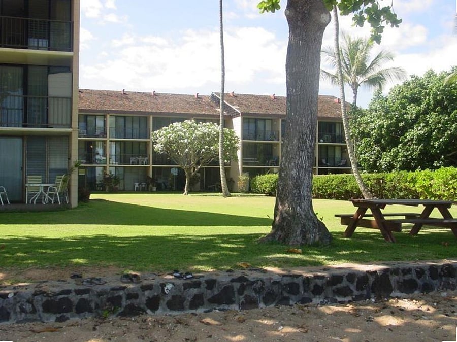 View of the backyard.