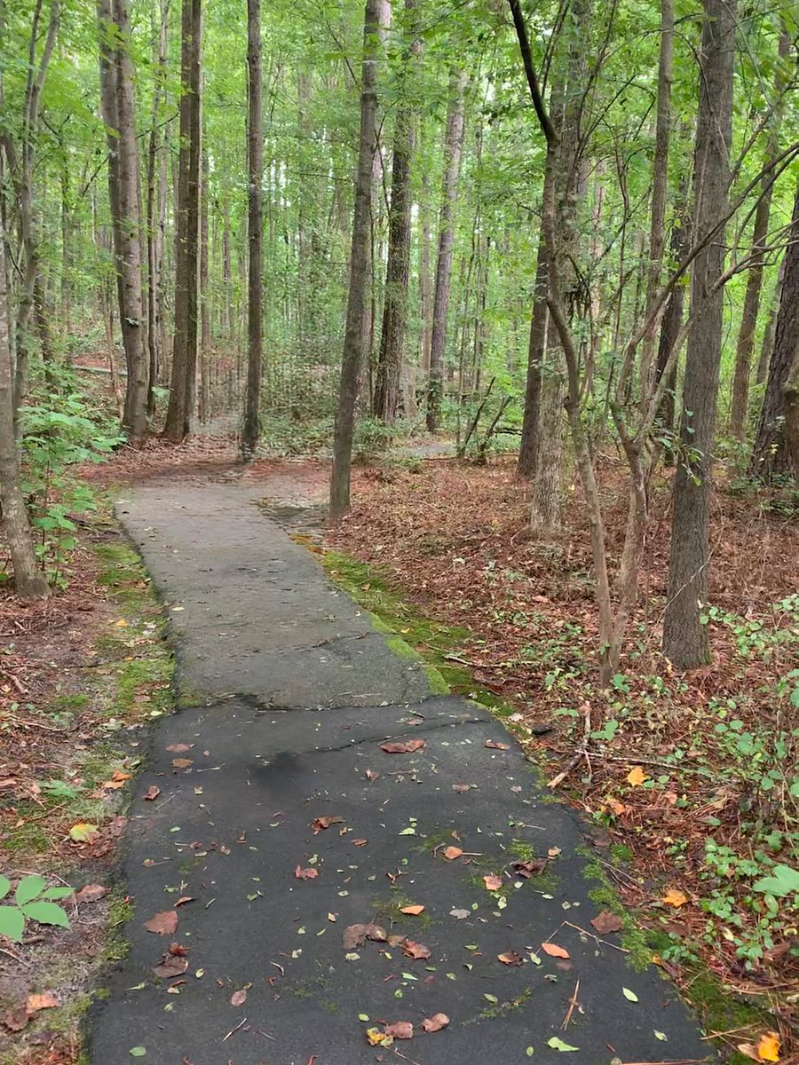 Enjoy a short, peaceful, and scenic loop trail located just behind the community pool.