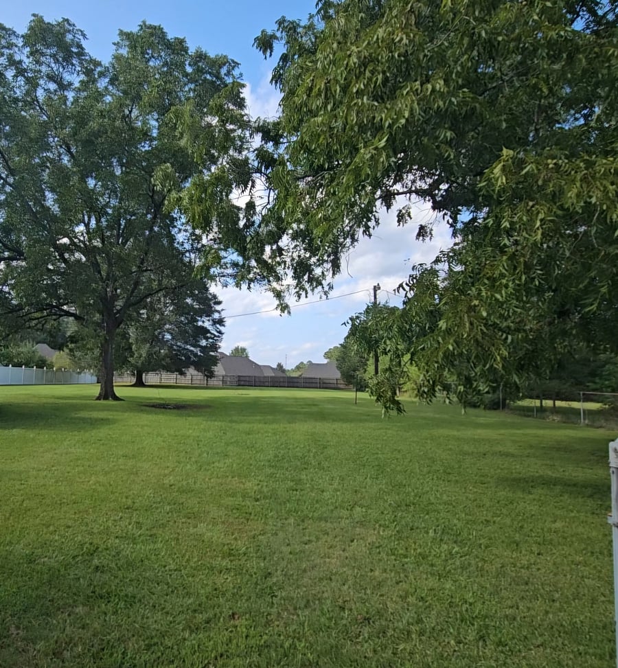 Huge fenced in back yard with mature pecan trees