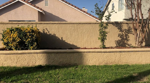 back yard