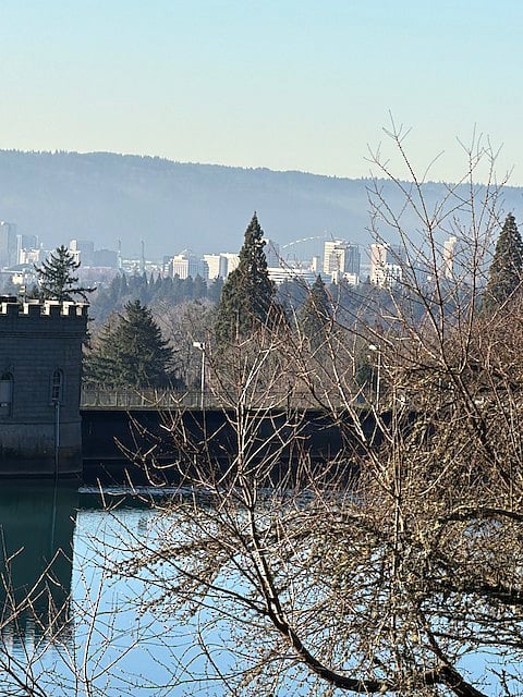 Mt Tabor park view looking toward downtown.