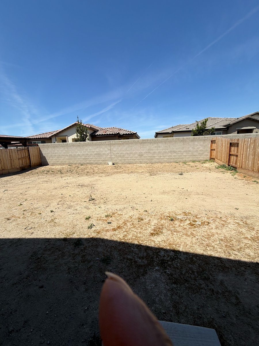 Backyard