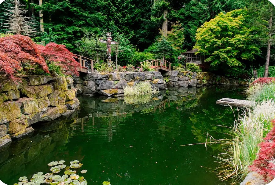 Lower pond