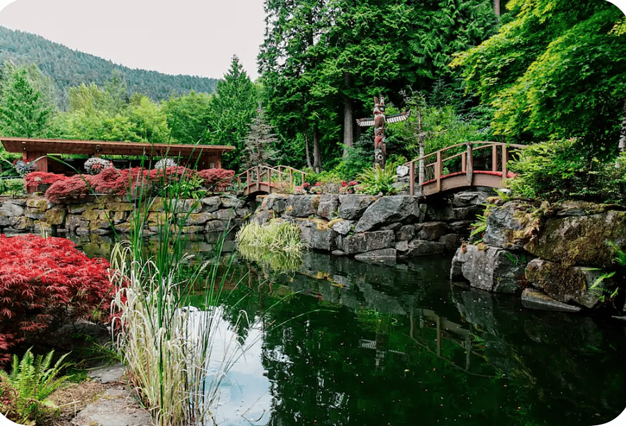 Lower pond and outdoor kitchen area