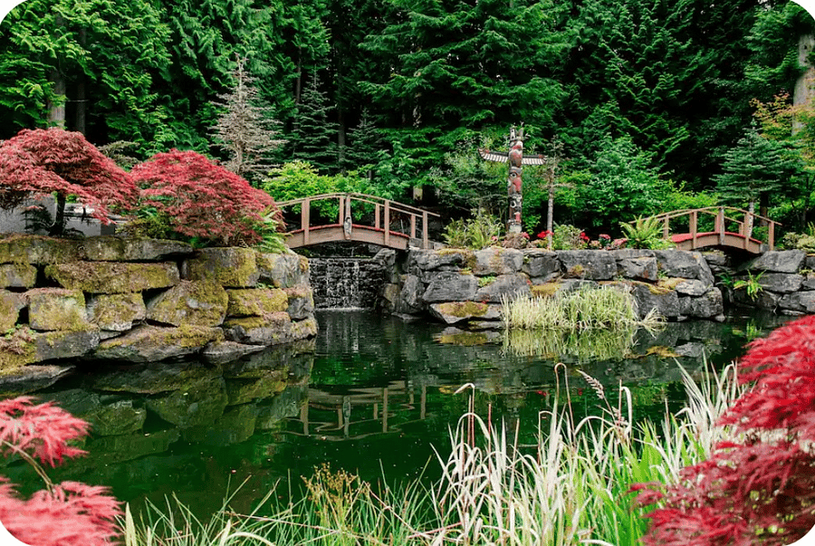 Lower pond