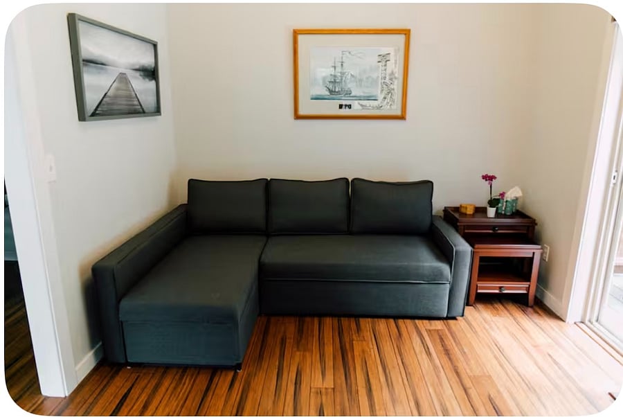 Sleeper sofa