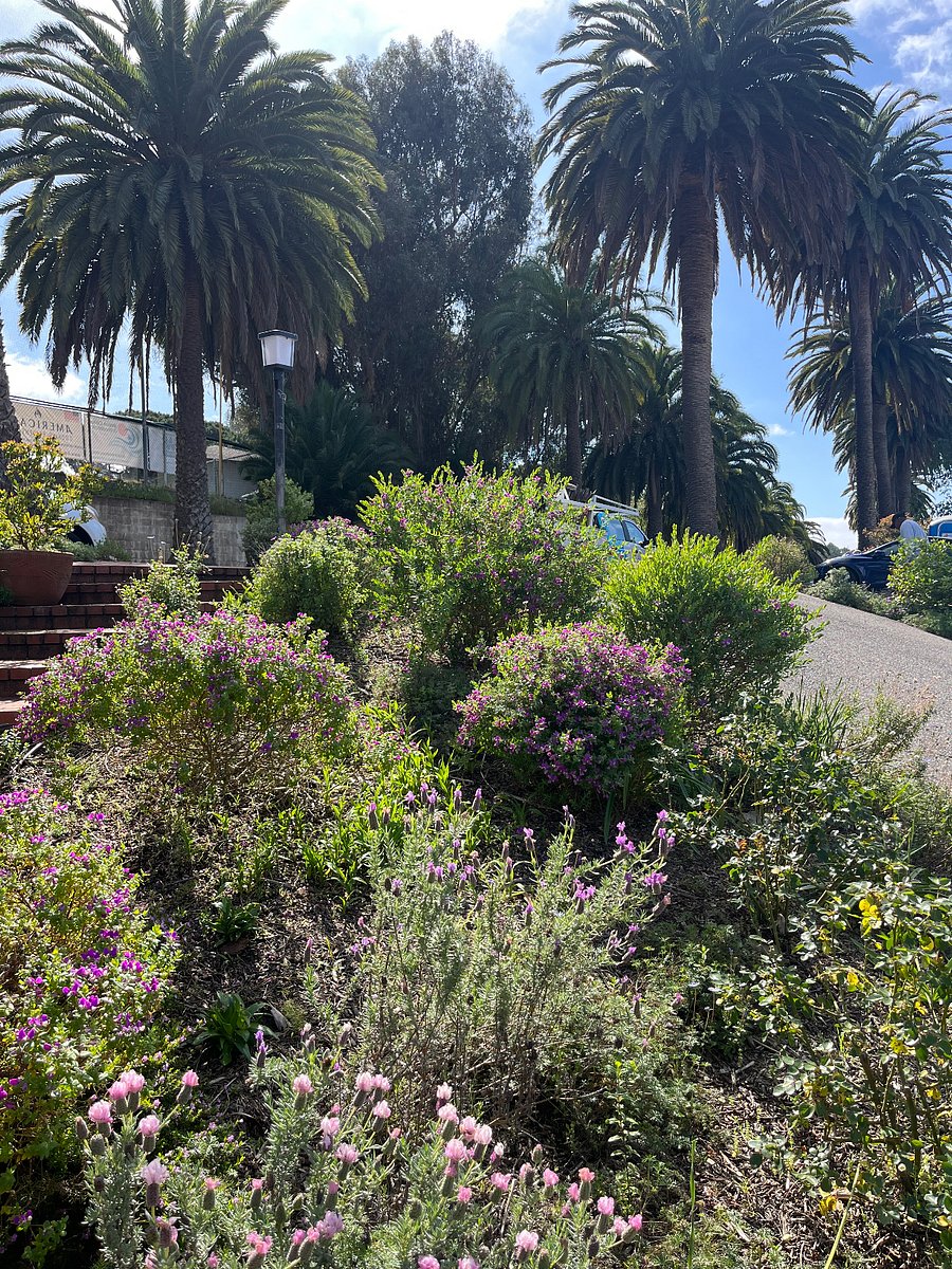Flowers and plants everywhere