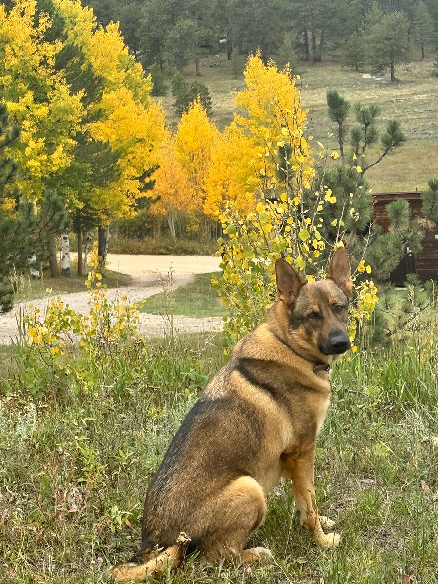Jake in the mountains
