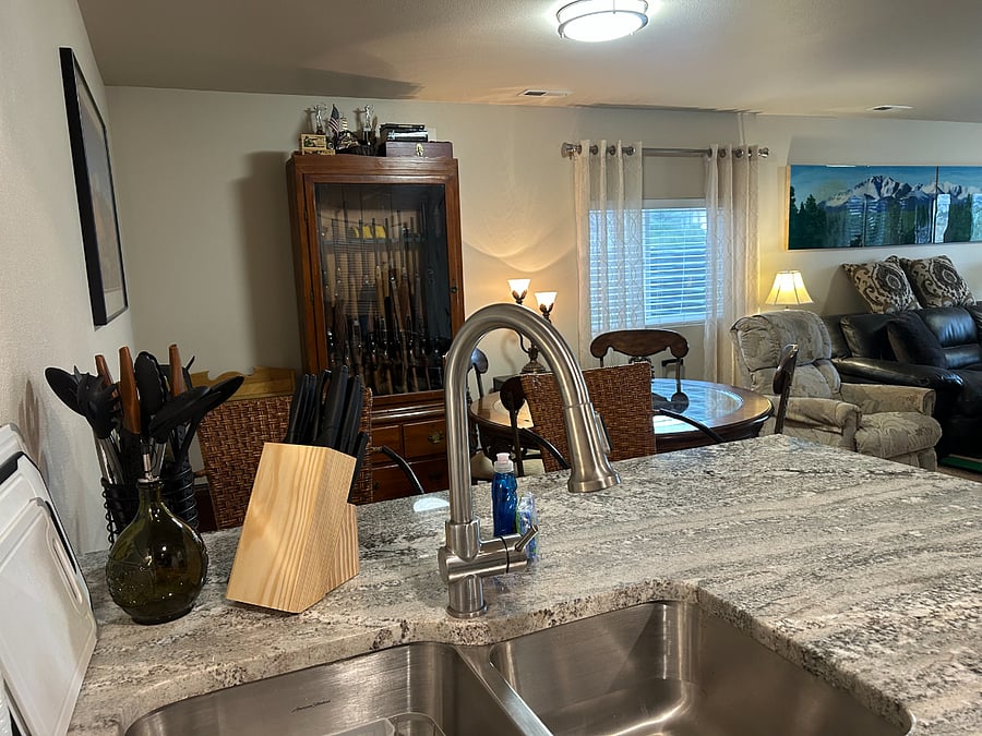 Kitchen Double Stainless Sink and Gooseneck Faucet