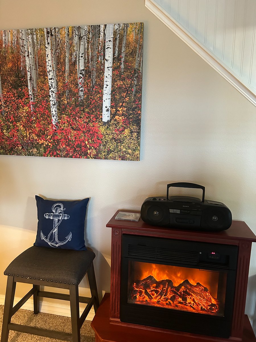 Electric Fireplace Keeps you Warm in Winter!