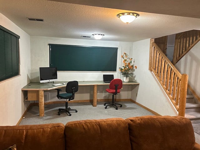 Basement with dedicated work space