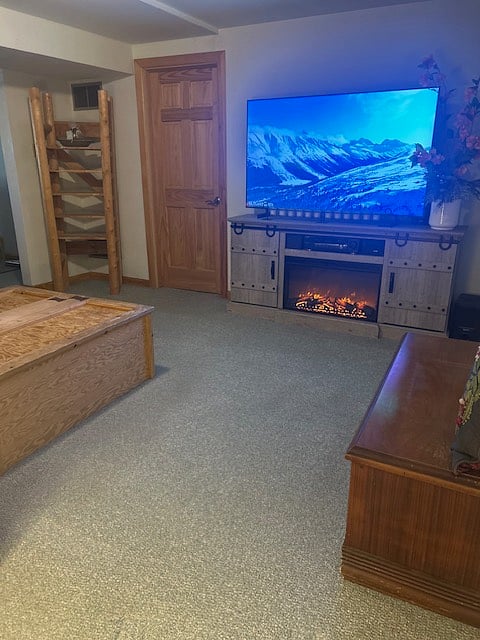 Rustic TV Room