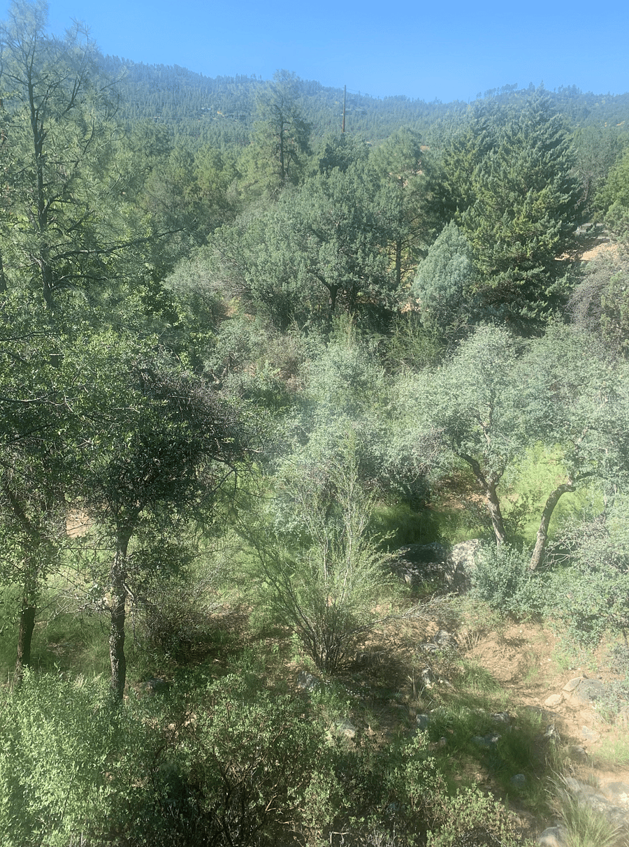 View from your deck
