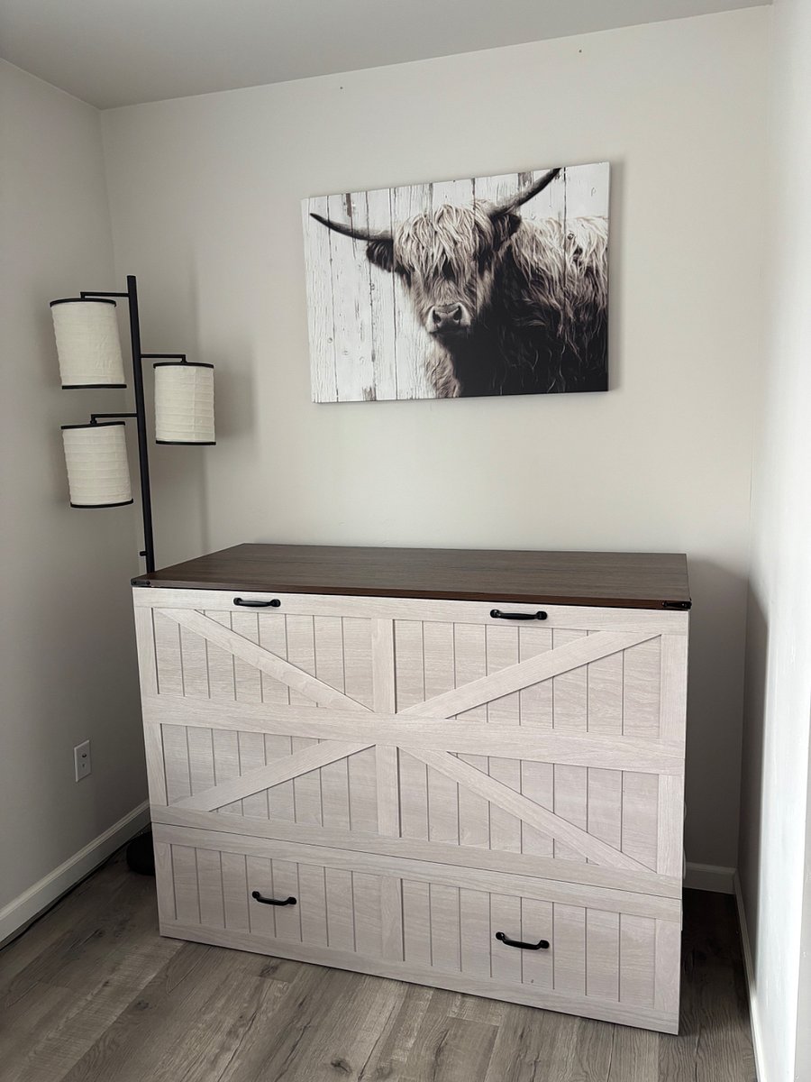 Murphy bed in office