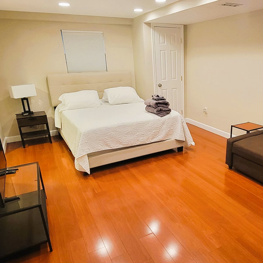 Downstairs Bedroom Suite with Couch and Pull out couch.
