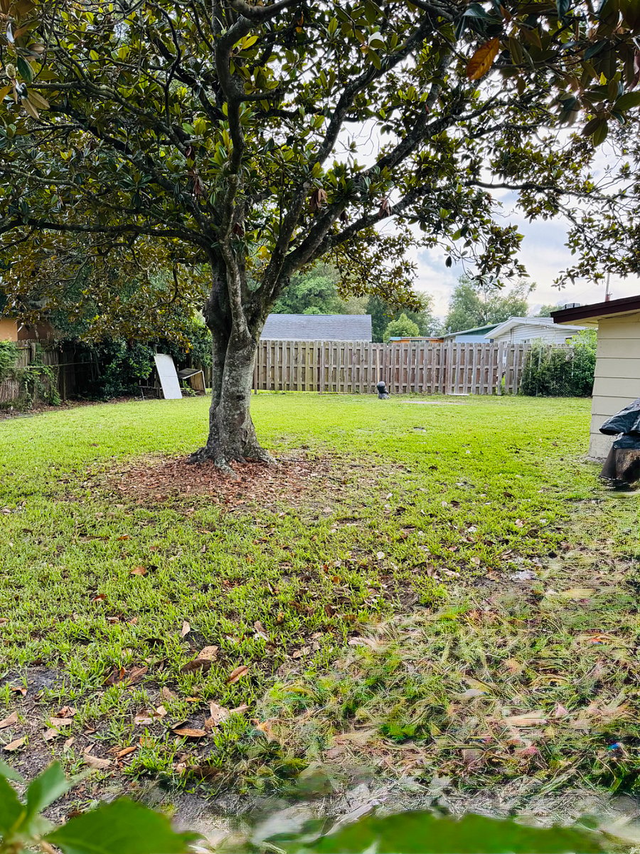 Furnished Finder property 960728_1 photo 7