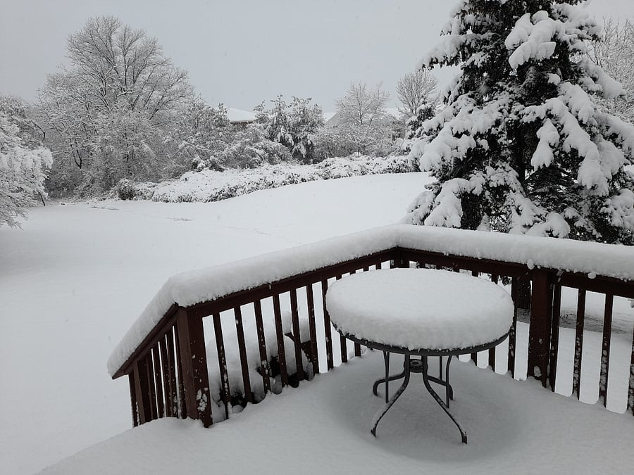 Too cold to sit outside today