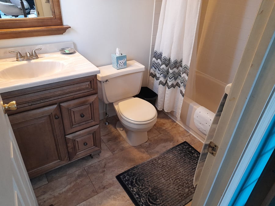 Master bathroom