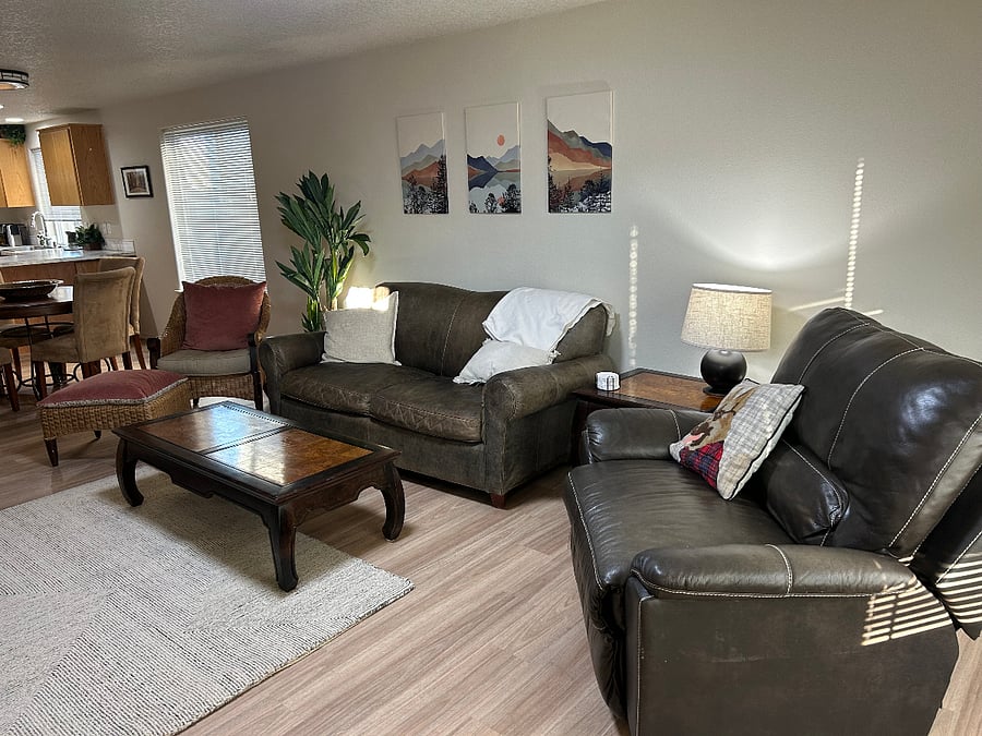 Cozy living room area