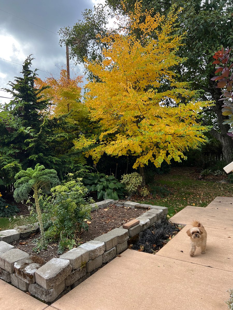 Gardening beds