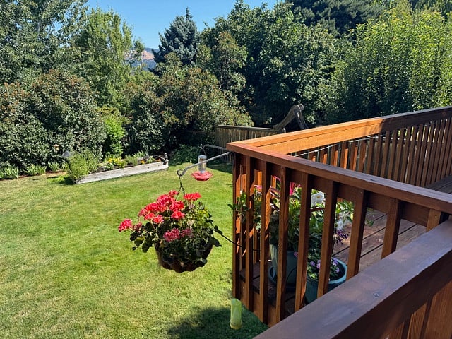 Furnished Finder property 961134_1 photo 18