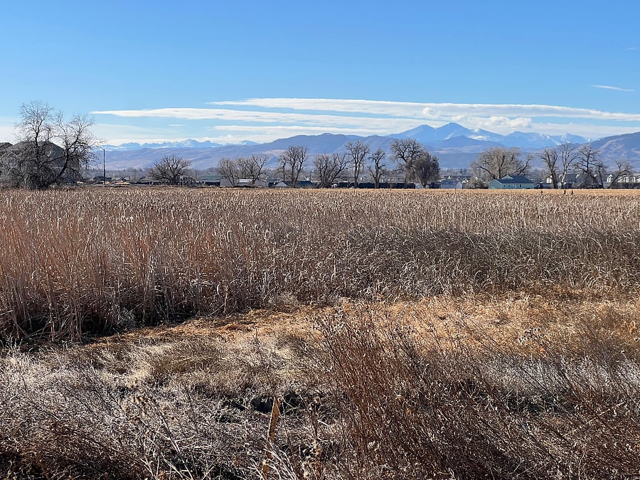 Community Trail 2 blocks away with Mountain Views. January 2026.