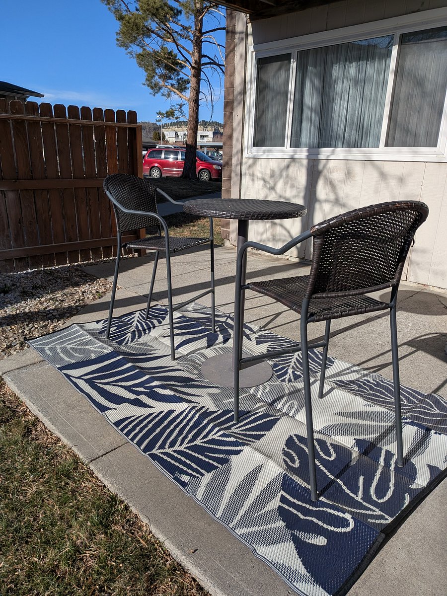 Spacious backyard for pets, with gate