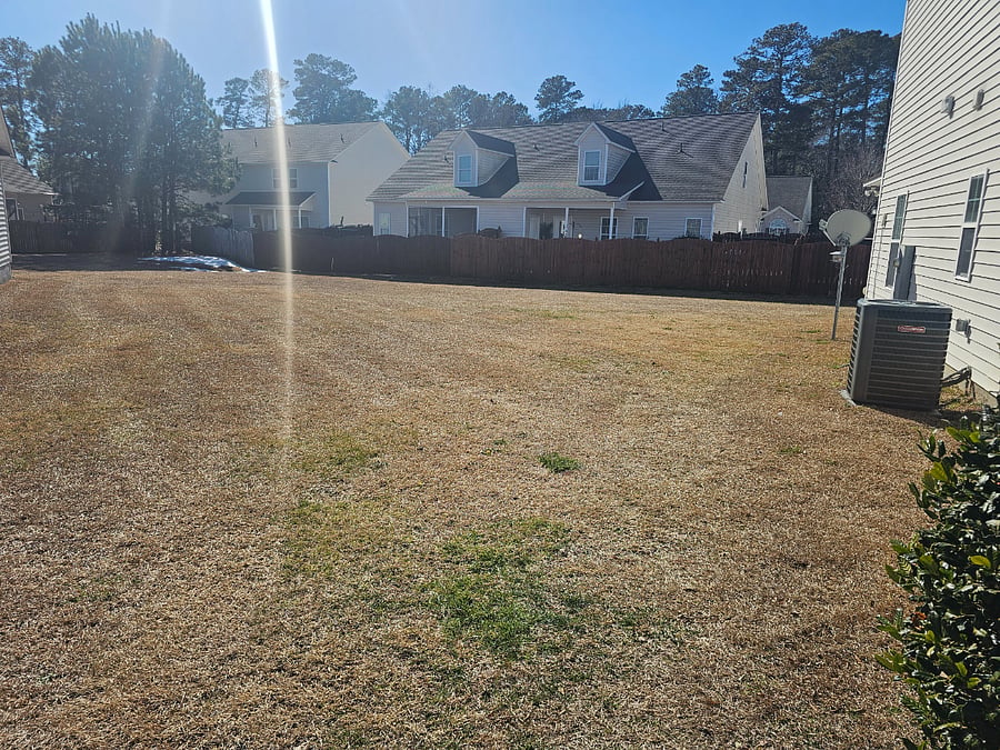 Yard. 