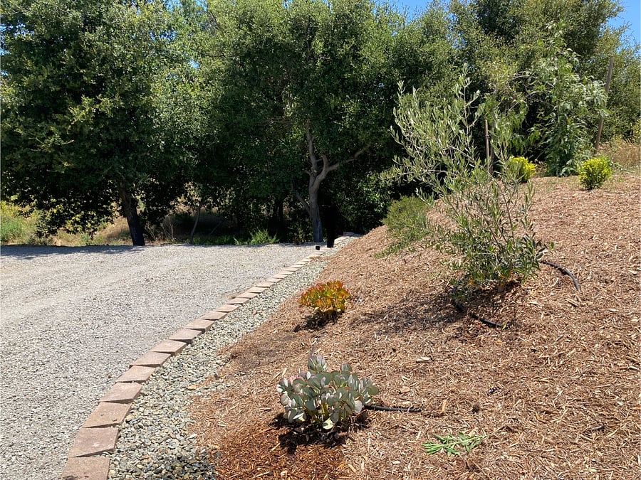 Furnished Finder property 961804_1 photo 10