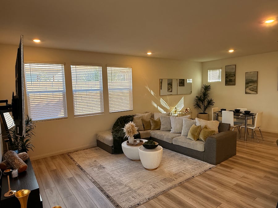 Downstairs Living Room 
