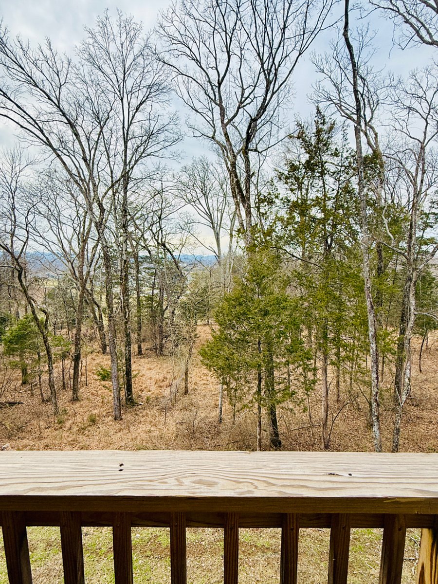 Furnished Finder property 962114_1 photo 12