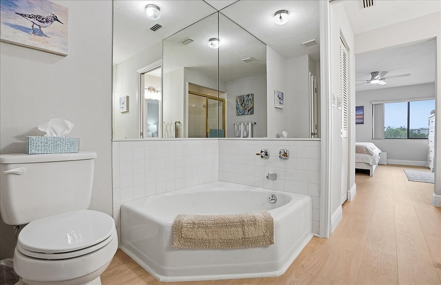 Master bath with separate tub area