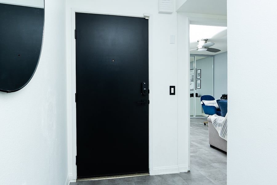 Entrance door and hallway