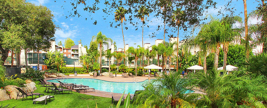 MAin heated pool