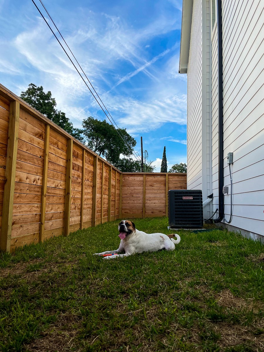 Backyard is perfect for pets and kids!