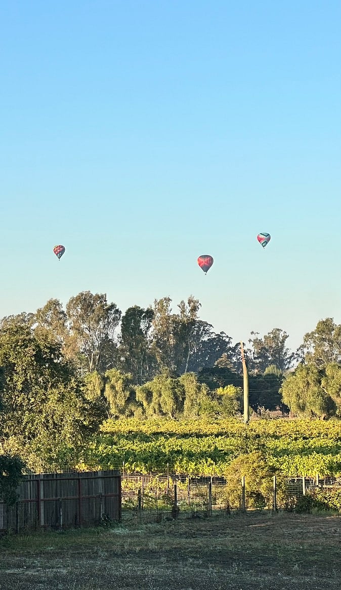 A morning view from the bedroom window...up, up & away over the neighboring vineyard!