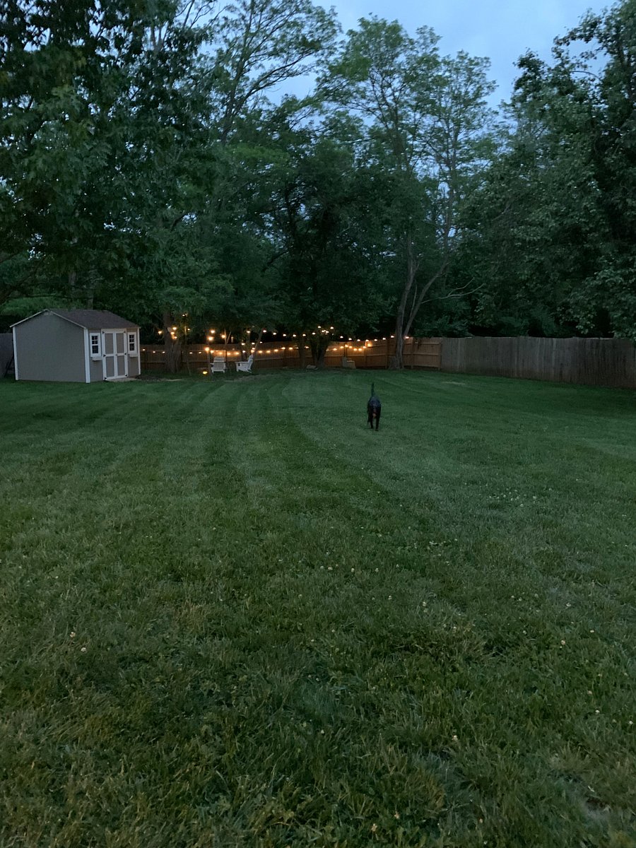 Backyard with storage shed-evening