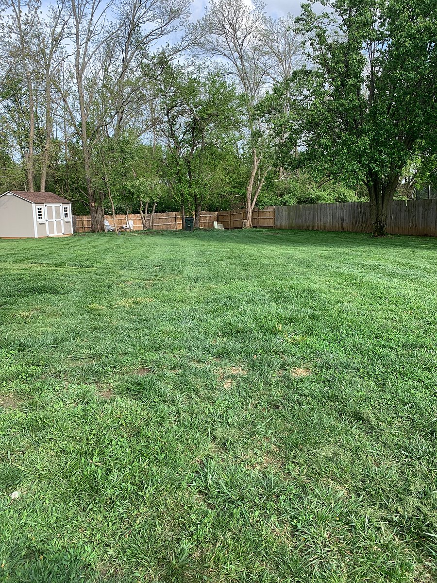 Backyard of fun!
