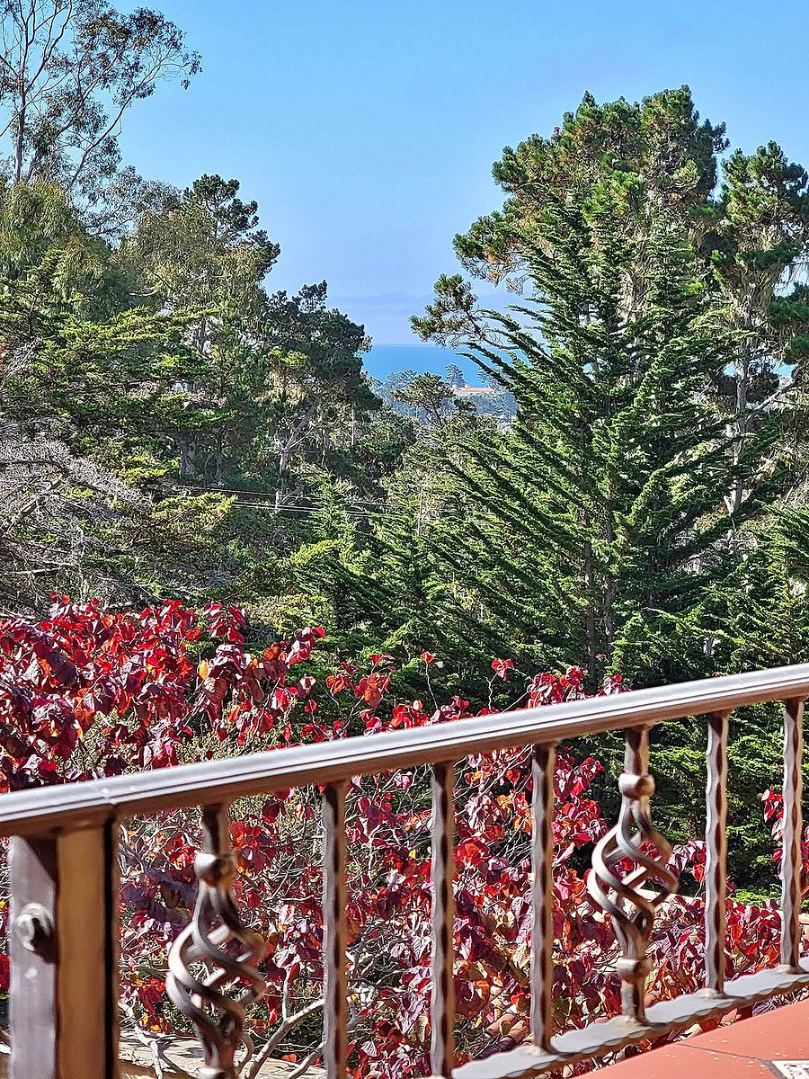 View from balcony