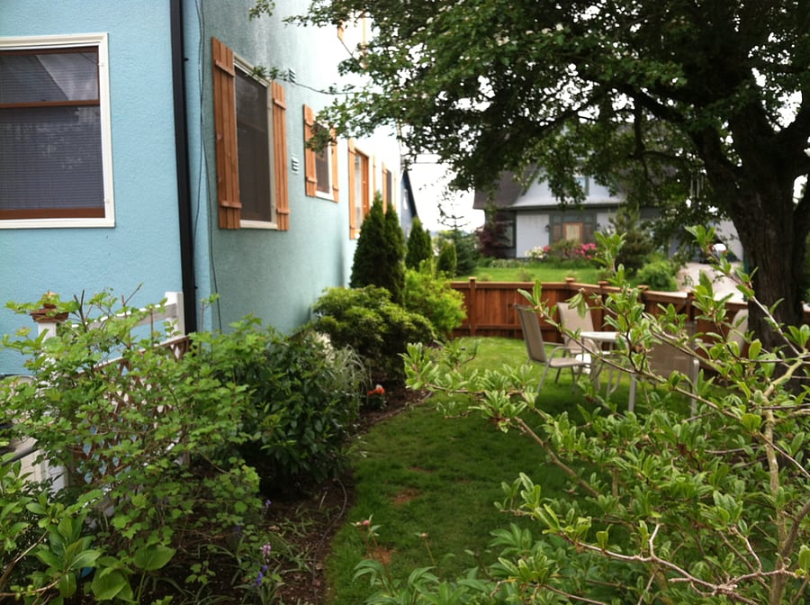 Fully Fenced Back Yard