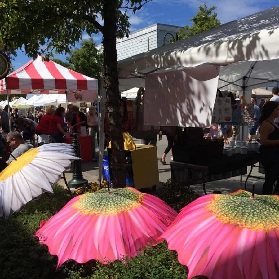 We recommend getting out to explore Bellingham Proper and Environs - Farmer's Market and so so so much more to see and do...