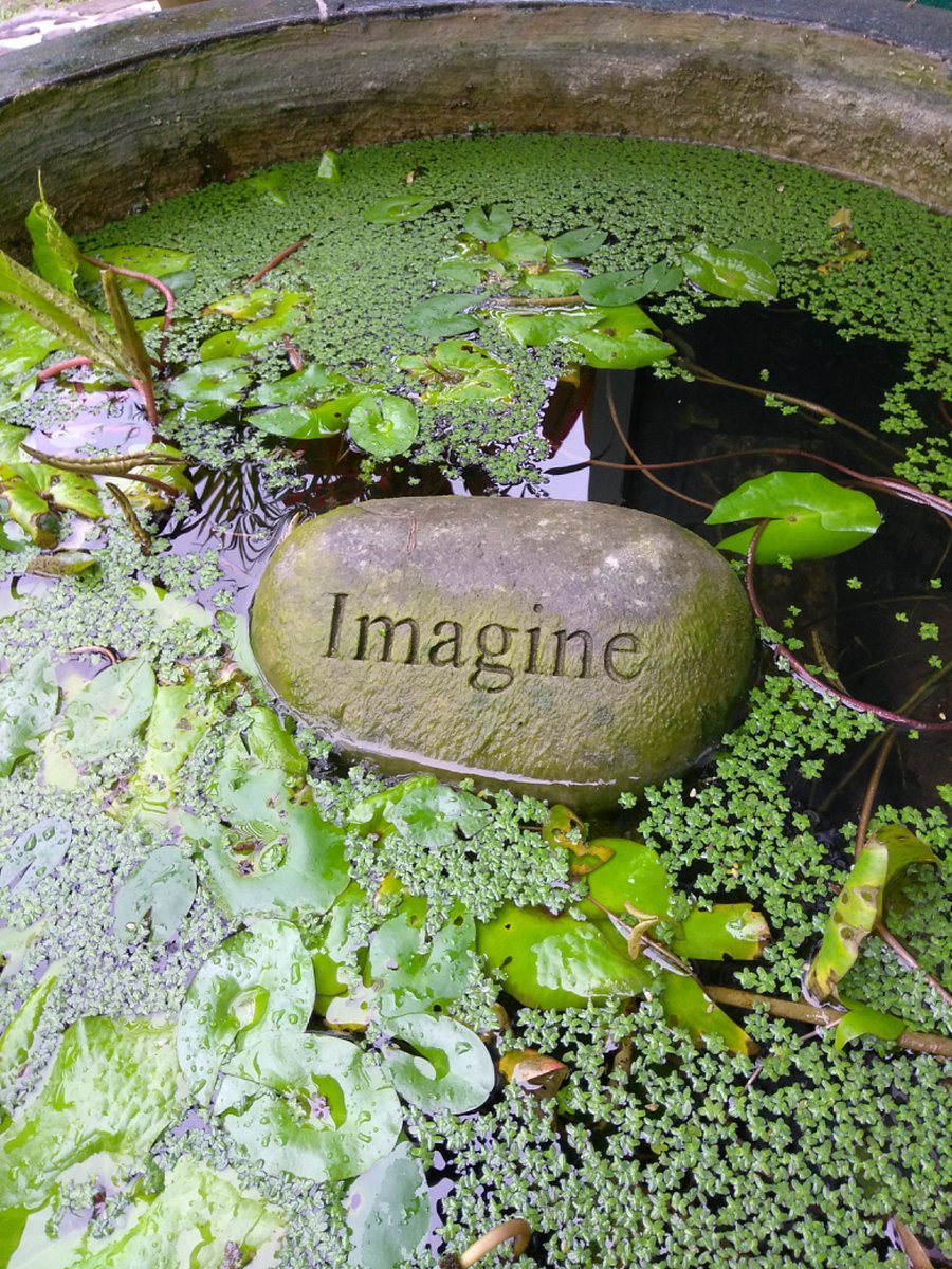 Bellingham and it's peeps welcome you to envision yourself here with us!