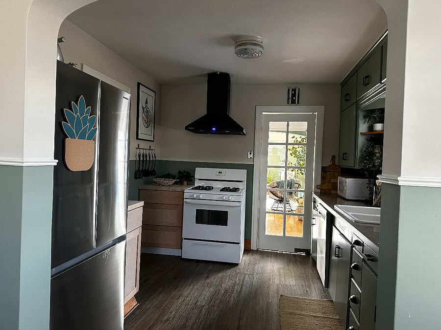 Brand new stainless steel appliances, commercial range hood and gas stove.